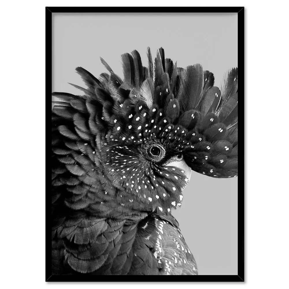 Black Cockatoo Pose in Black & White - Art Print