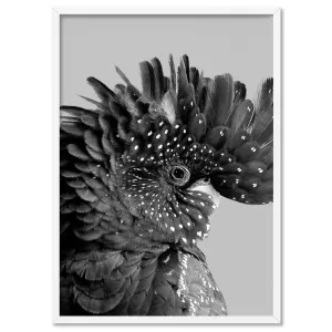 Black Cockatoo Pose in Black & White - Art Print