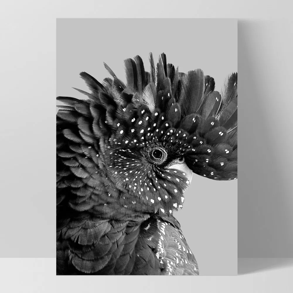 Black Cockatoo Pose in Black & White - Art Print