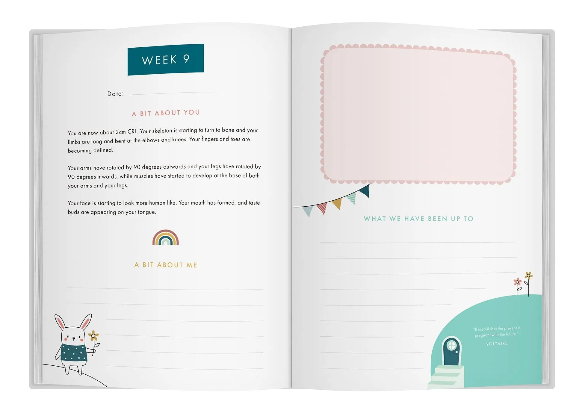 Book - Bump To Birthday: Pregnancy And First Year Journal