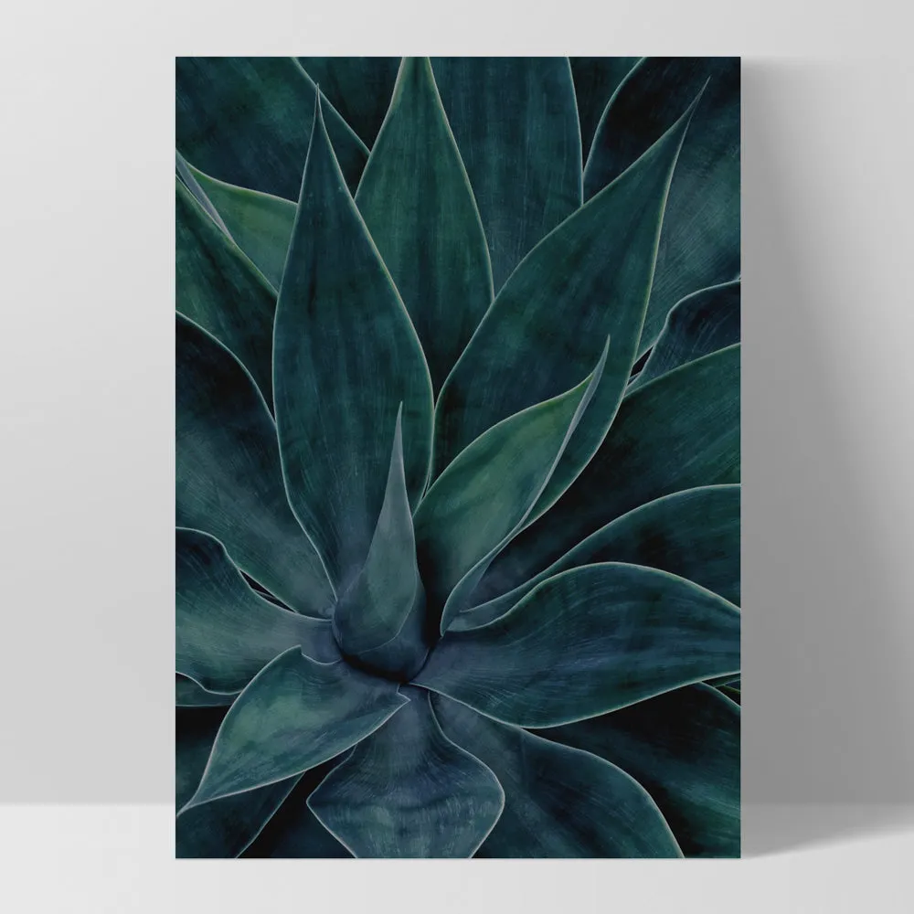 Dark Agave - Art Print