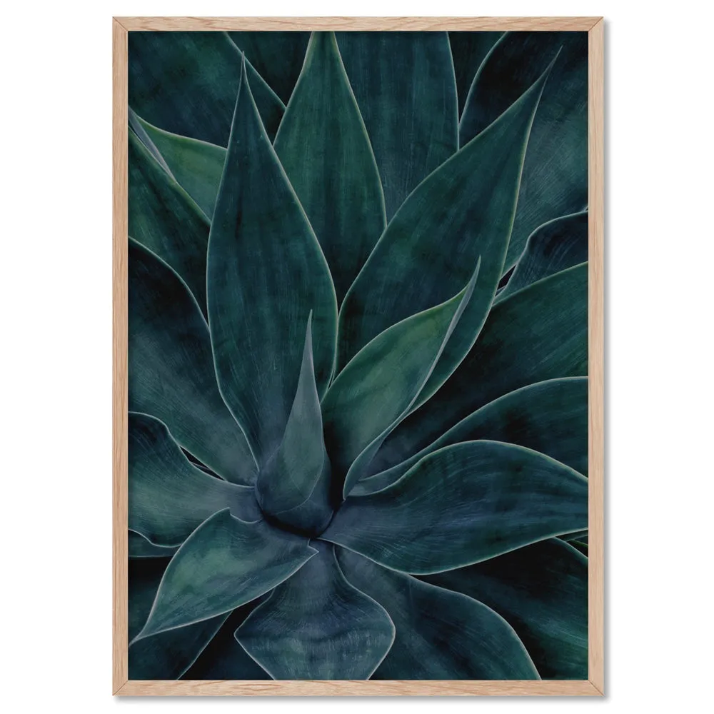 Dark Agave - Art Print