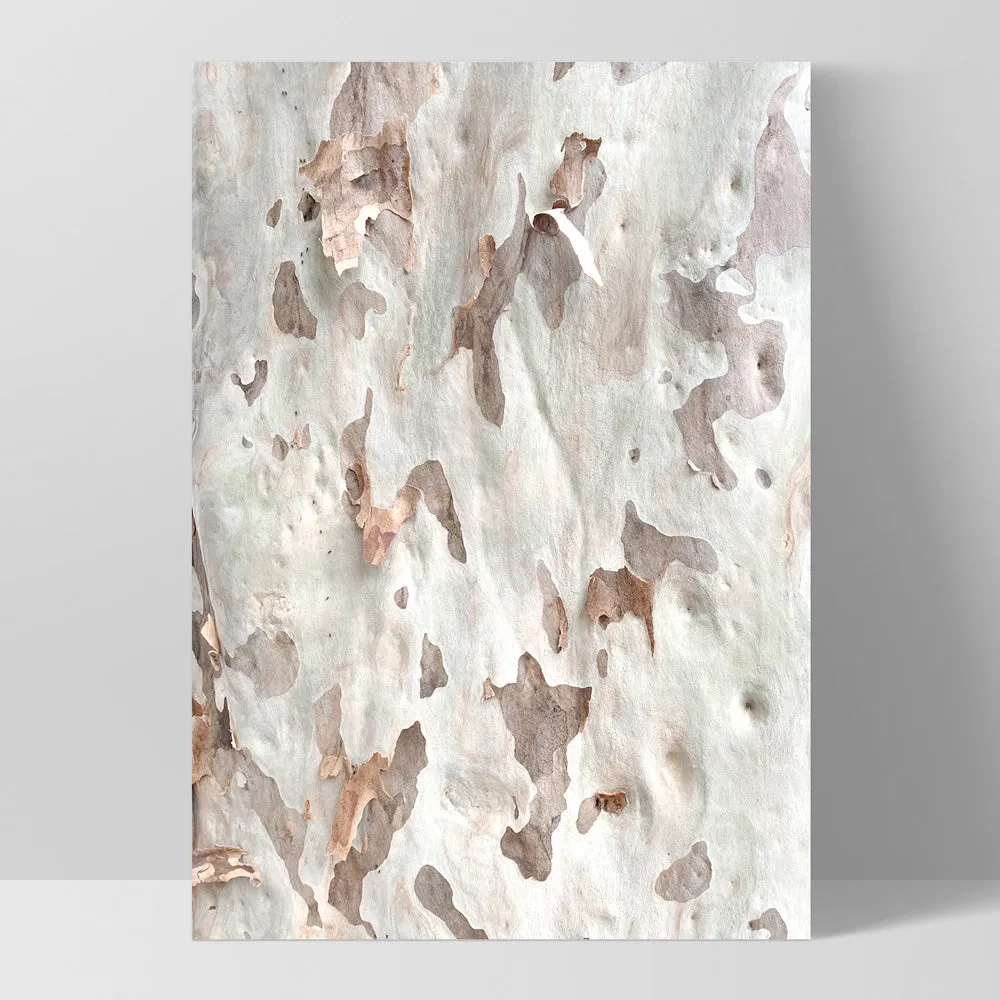 Gumtree | Ghost Gum Bark - Art Print