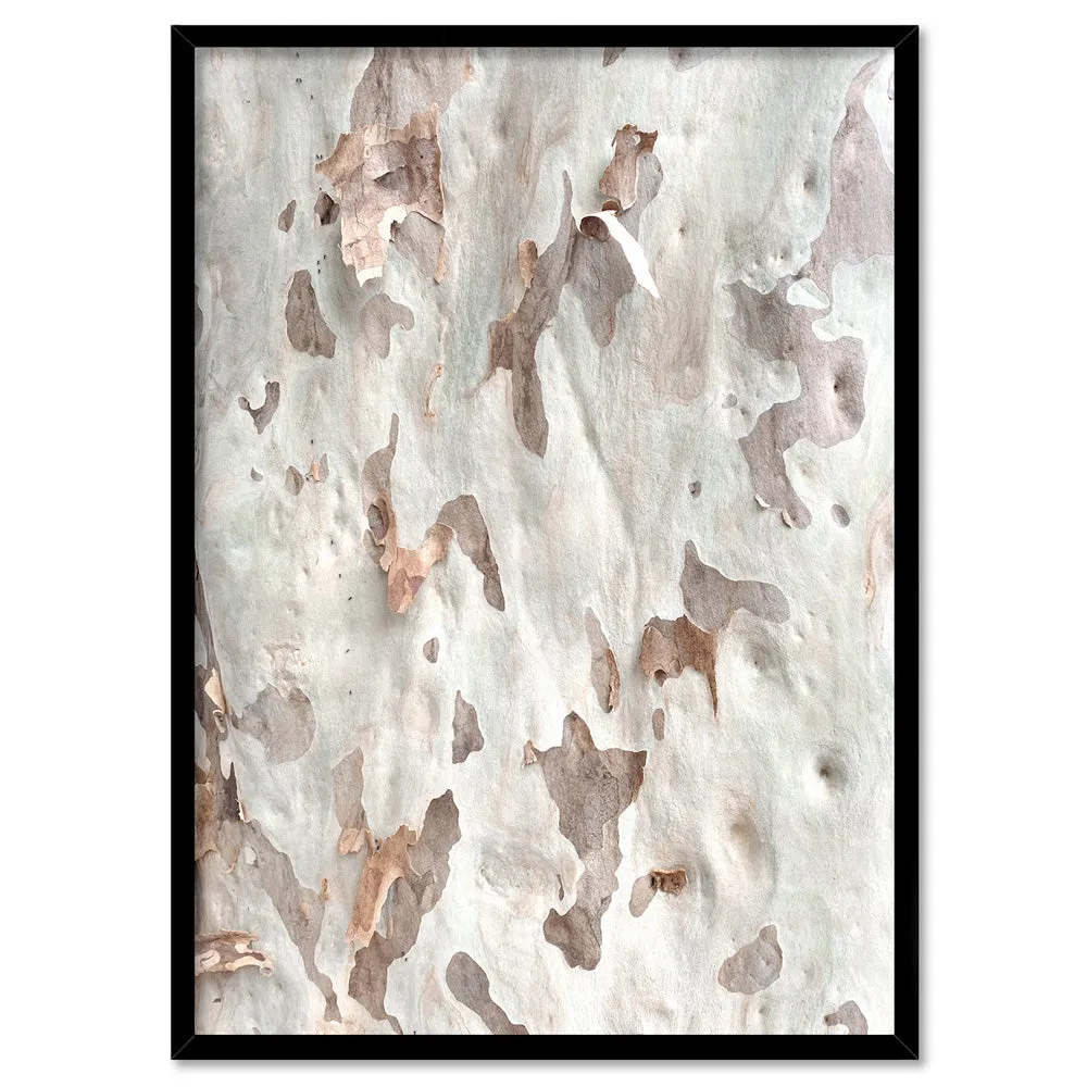 Gumtree | Ghost Gum Bark - Art Print