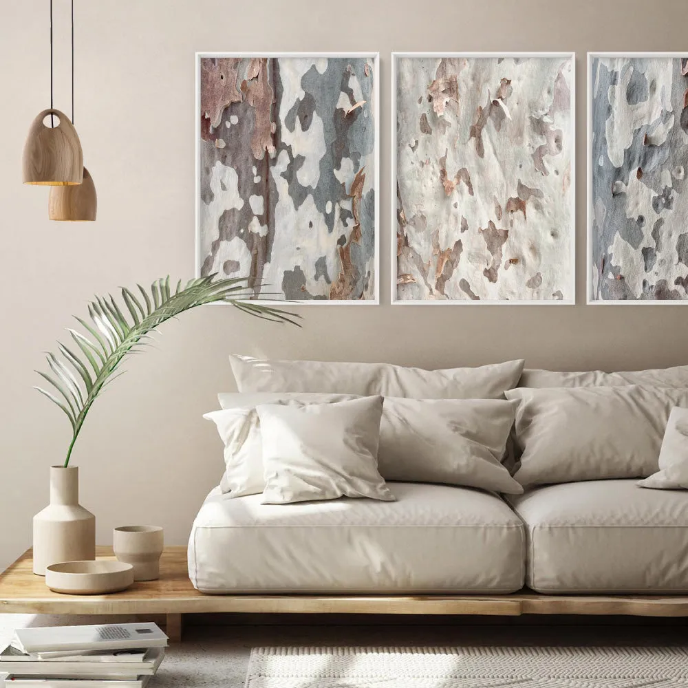 Gumtree | Ghost Gum Bark - Art Print