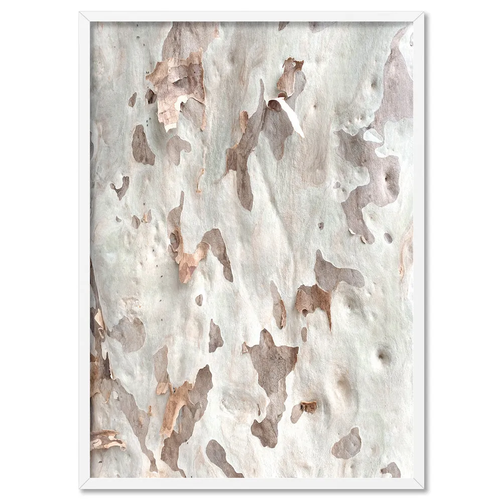 Gumtree | Ghost Gum Bark - Art Print