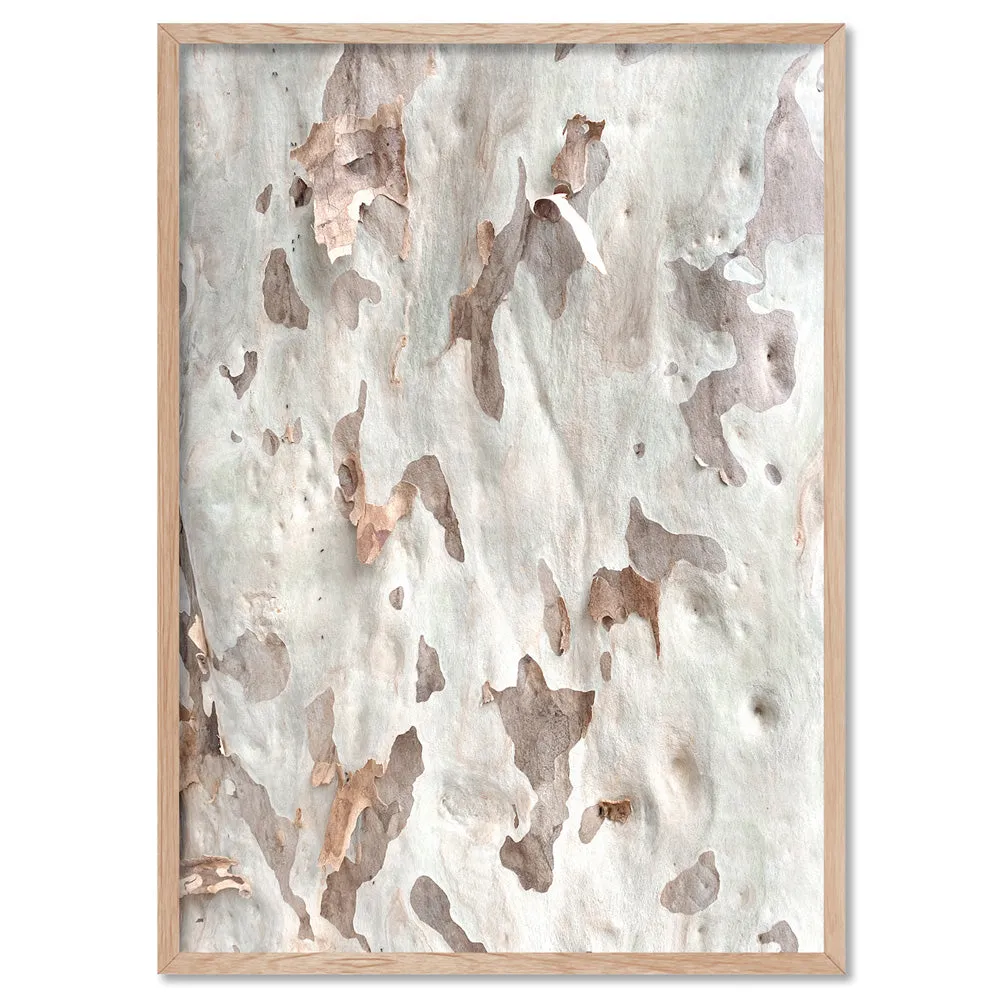 Gumtree | Ghost Gum Bark - Art Print