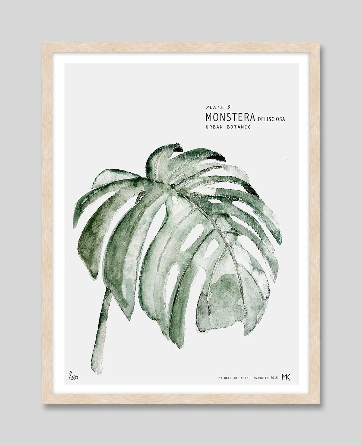 Monstera