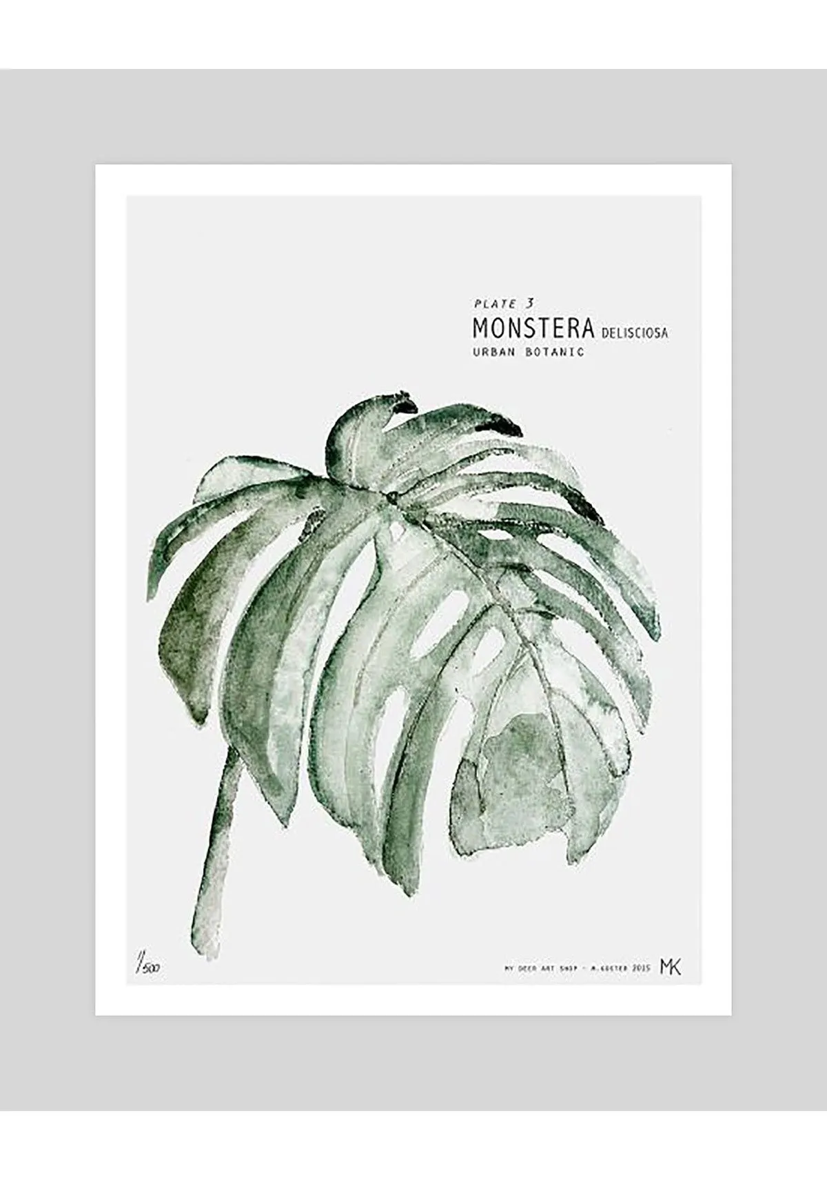 Monstera