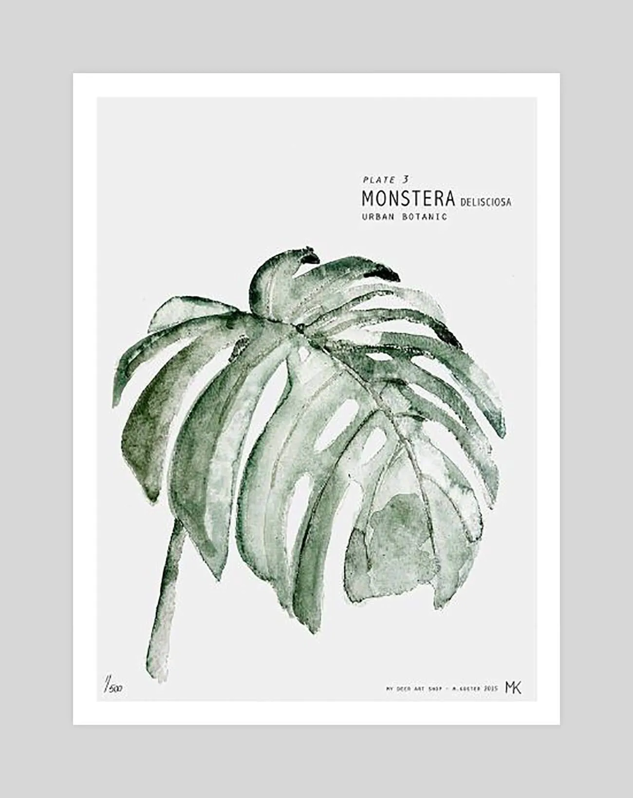 Monstera