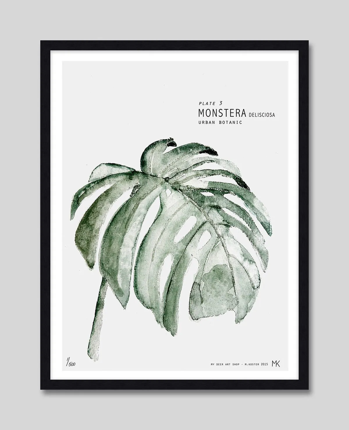 Monstera