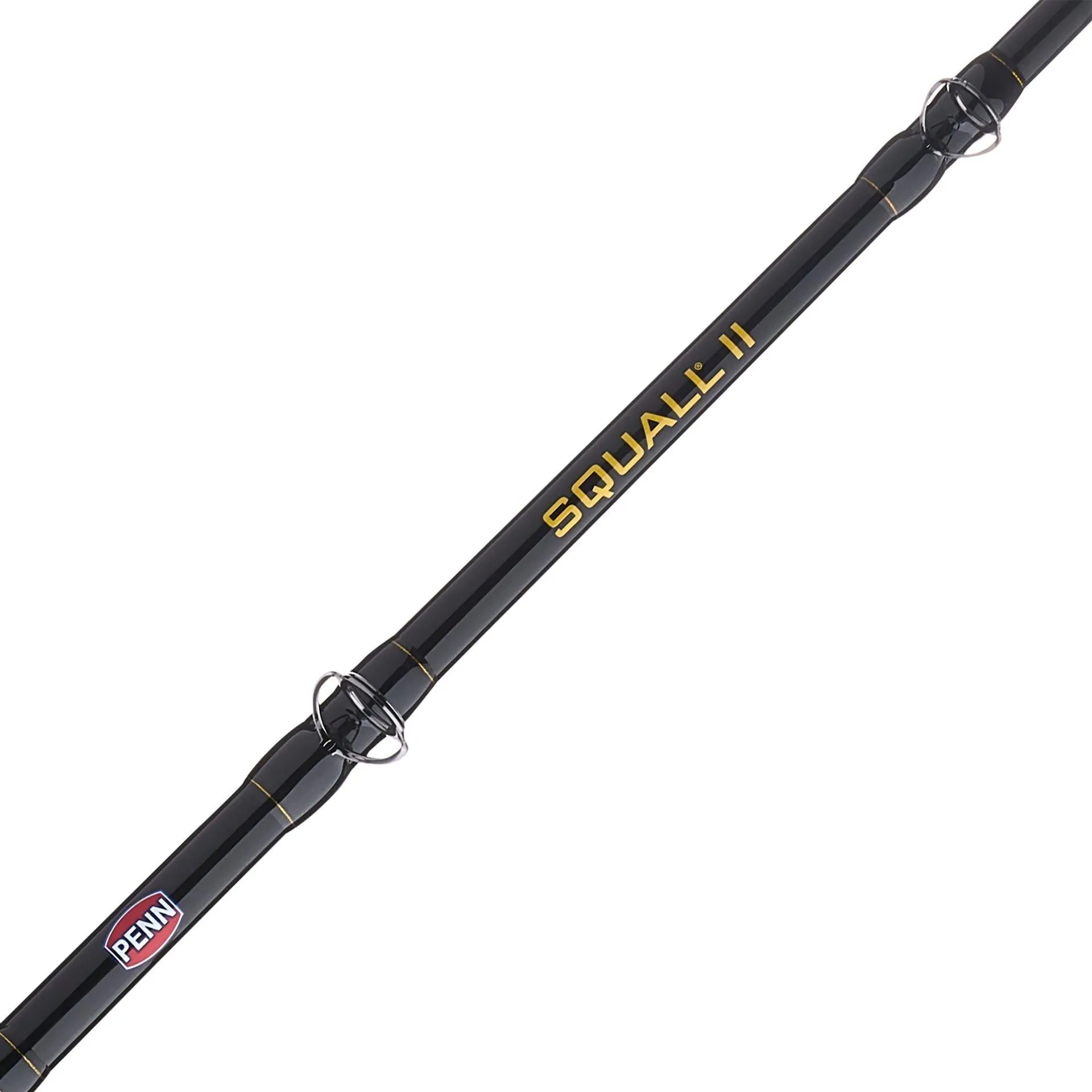 Squall® II Lever Drag Conventional Rod & Reel Combo